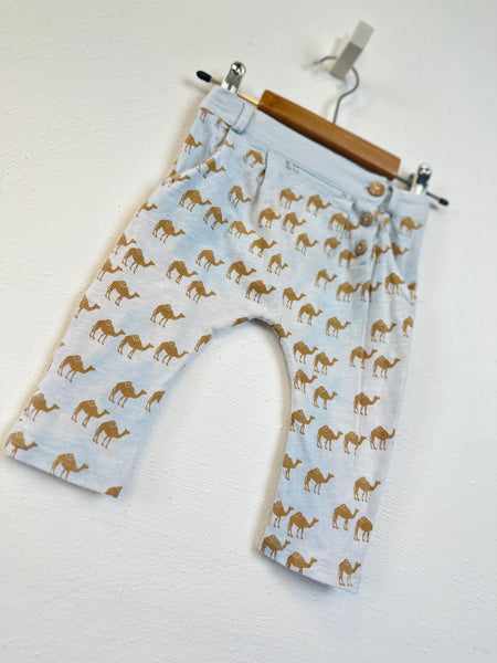 Baby Hose 🐪 - 74 - blune