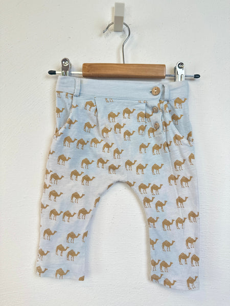 Baby Hose 🐪 - 74 - blune