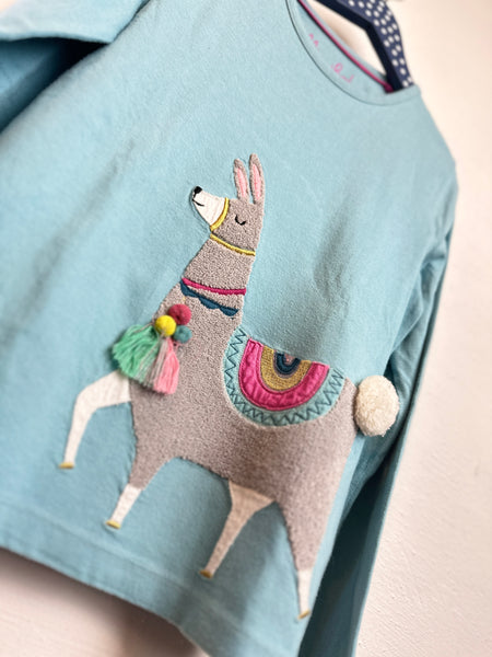 Langarmshirt *Llama - 134 - Boden