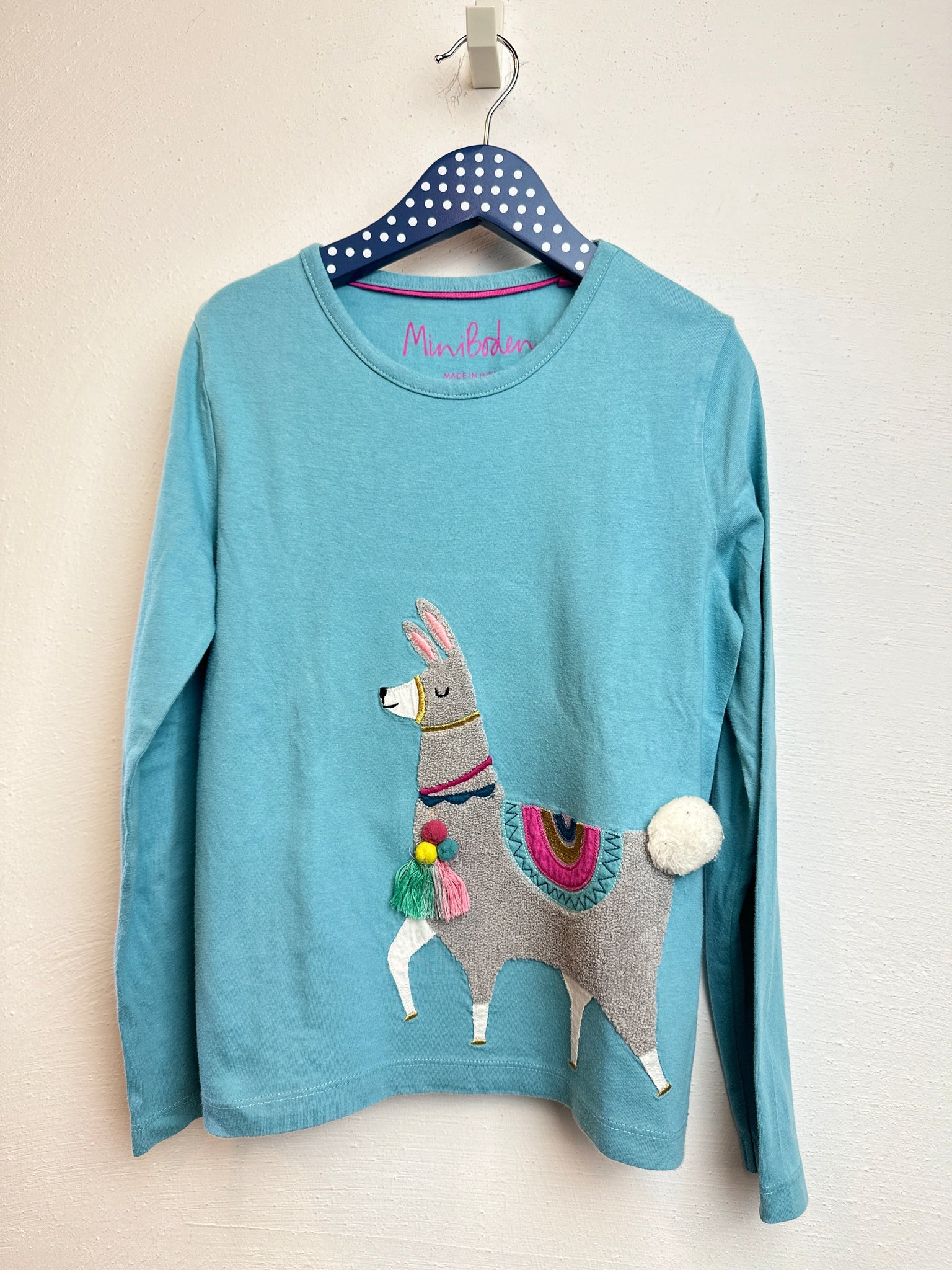 Langarmshirt *Llama - 134 - Boden
