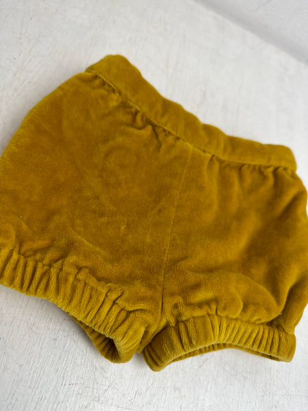 Samt Shorts - 68 - Boden